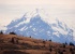 Mount Cook, h�chster Berg der Alpen auf der S�dinsel