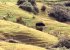 Landschaft am Eastcape (Nordinsel)