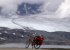 Mit dem Rad �ber das Sognefjell, Nordeuropas h�chste Passstra�e (1430 Meter).