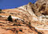 Felsenlandschaft auf der Ostseite des Zion National Parks.