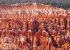 Blick auf auf Ampitheater des Bryce Canyons.